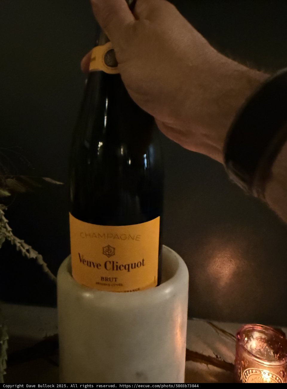 Toasting to Moments in Walnut Creek