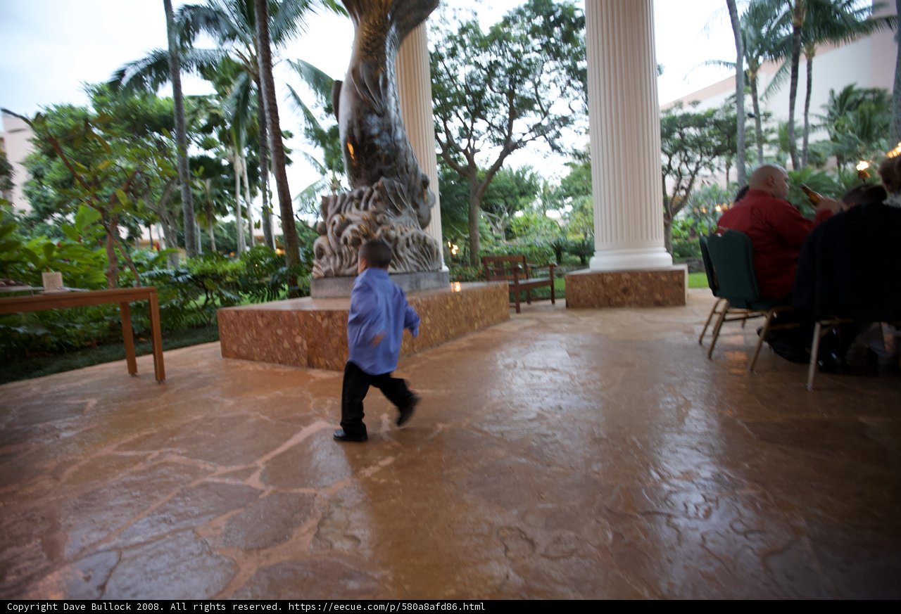 Courtyard Stroll