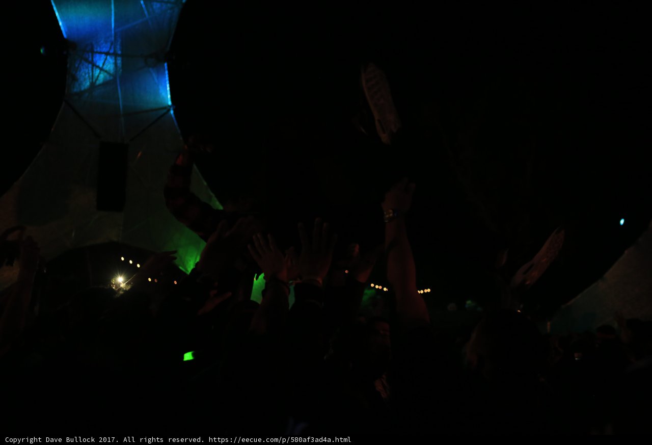 Club Night Fever
