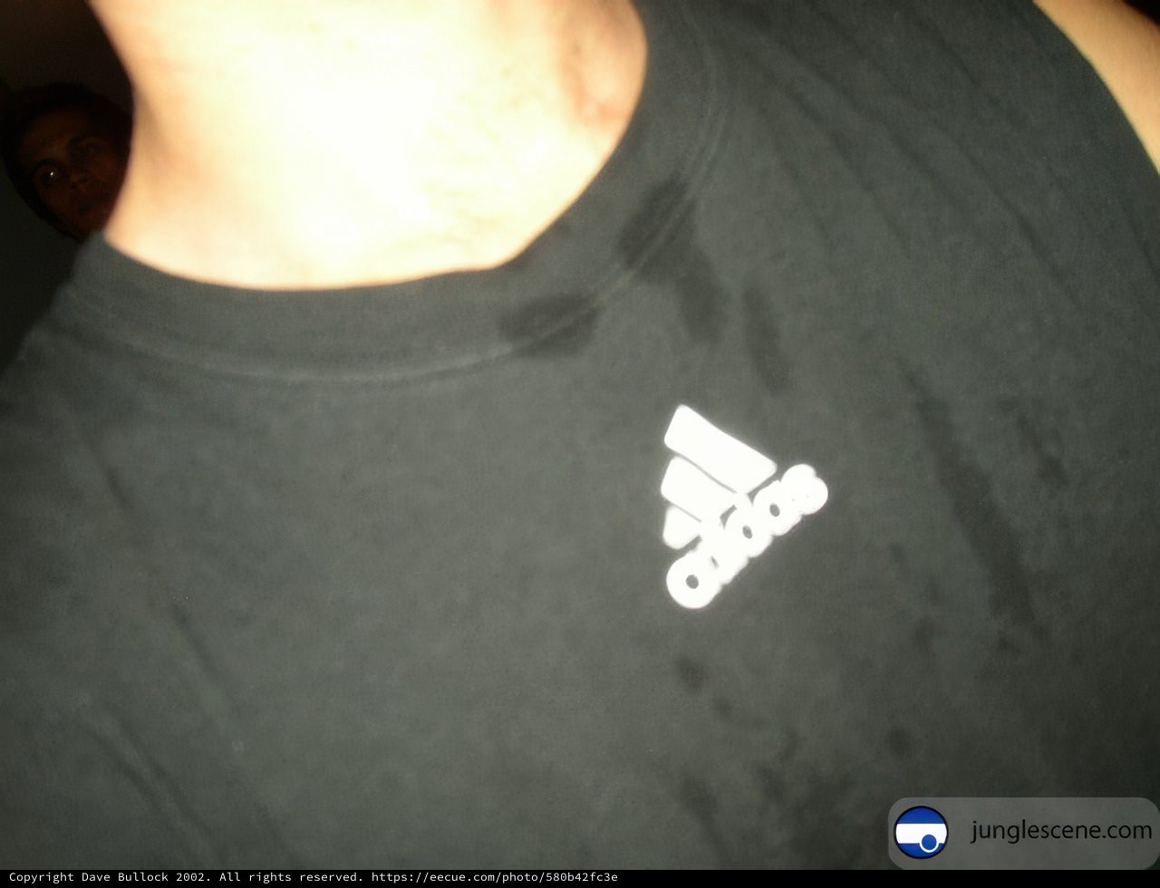 Black-Shirted Man's Torso
