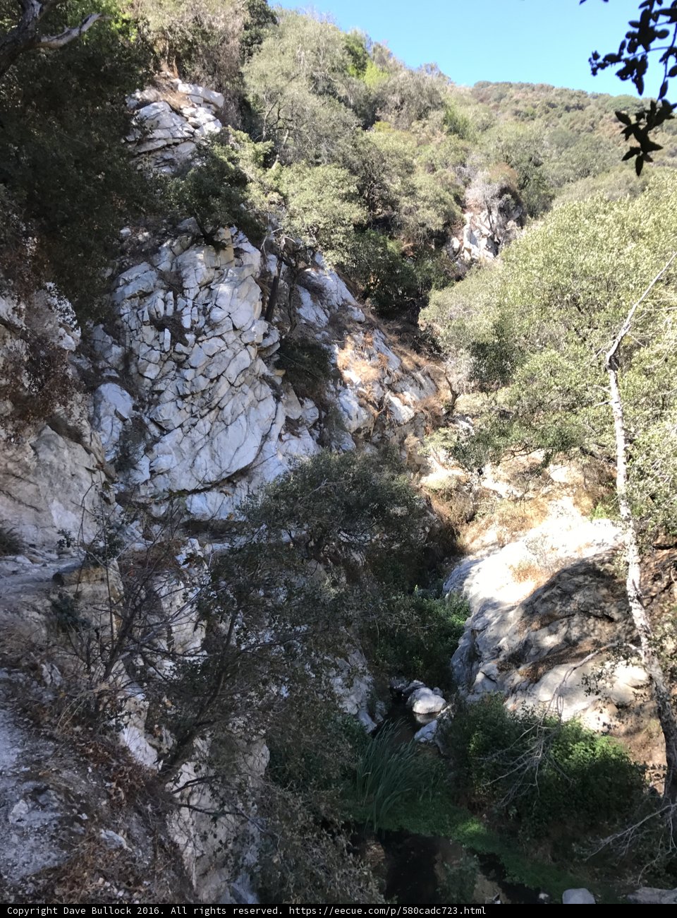 Descending the Steep Trail