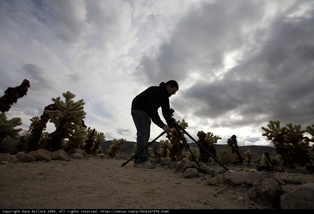 Desert Explorer