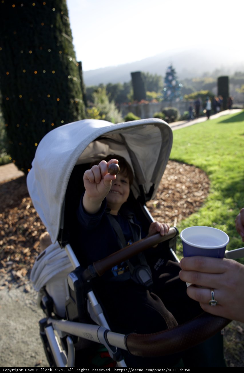 Joyful Discovery at Thistlewyck Gardens