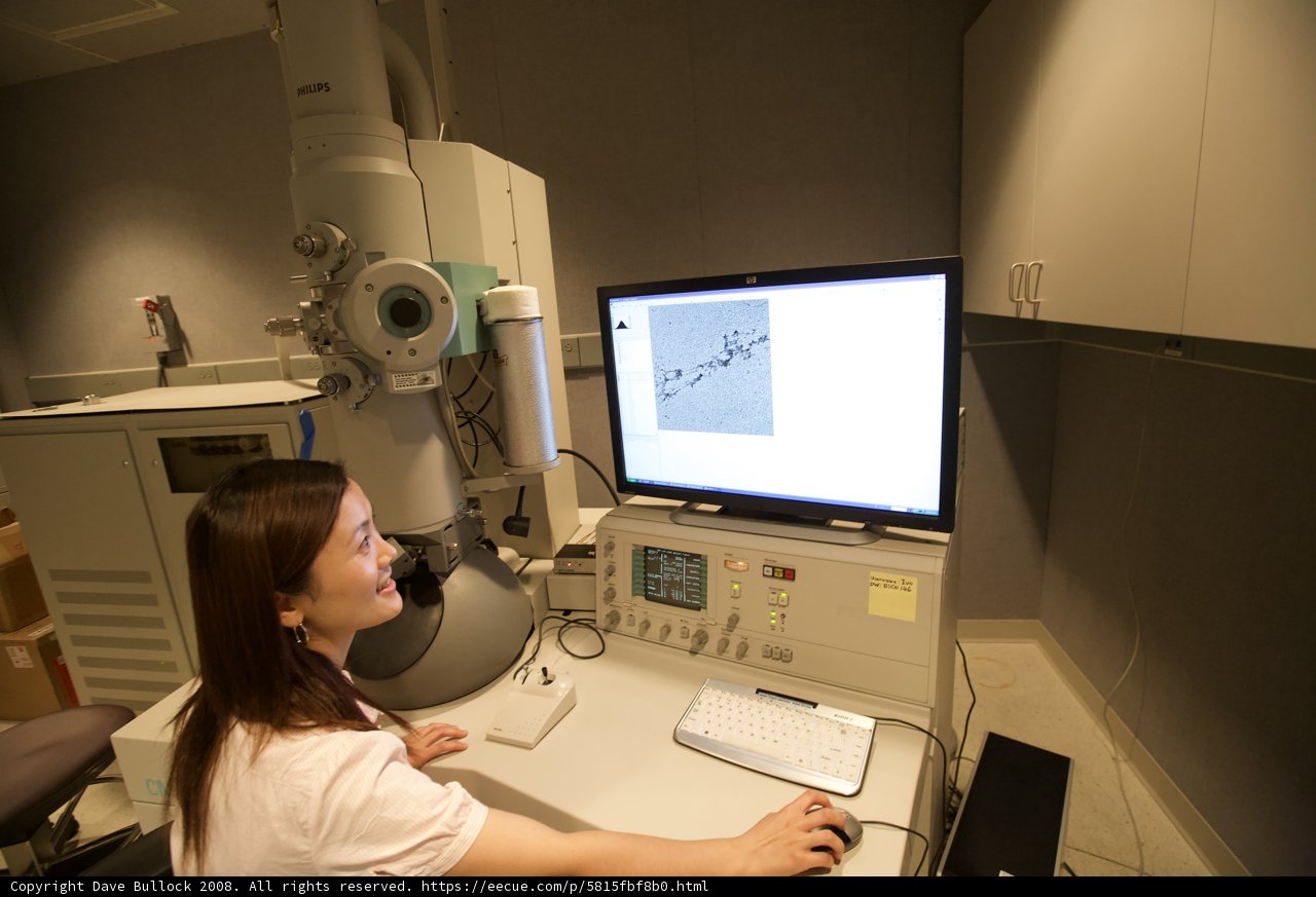 Lab Work: Woman at Computer