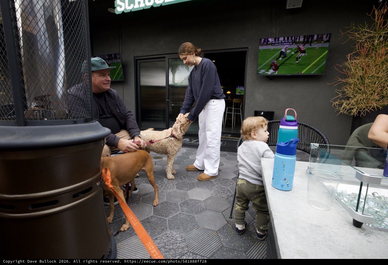 Dog-Friendly Patio Gathering at Modern Sports Bar