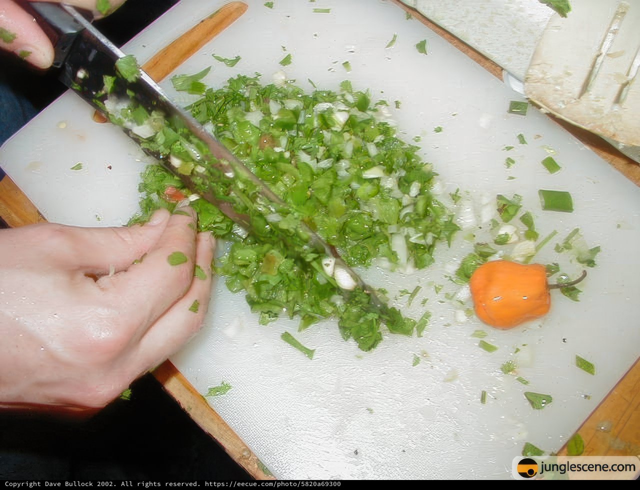 Chopping Green Onions for a Delicious Meal