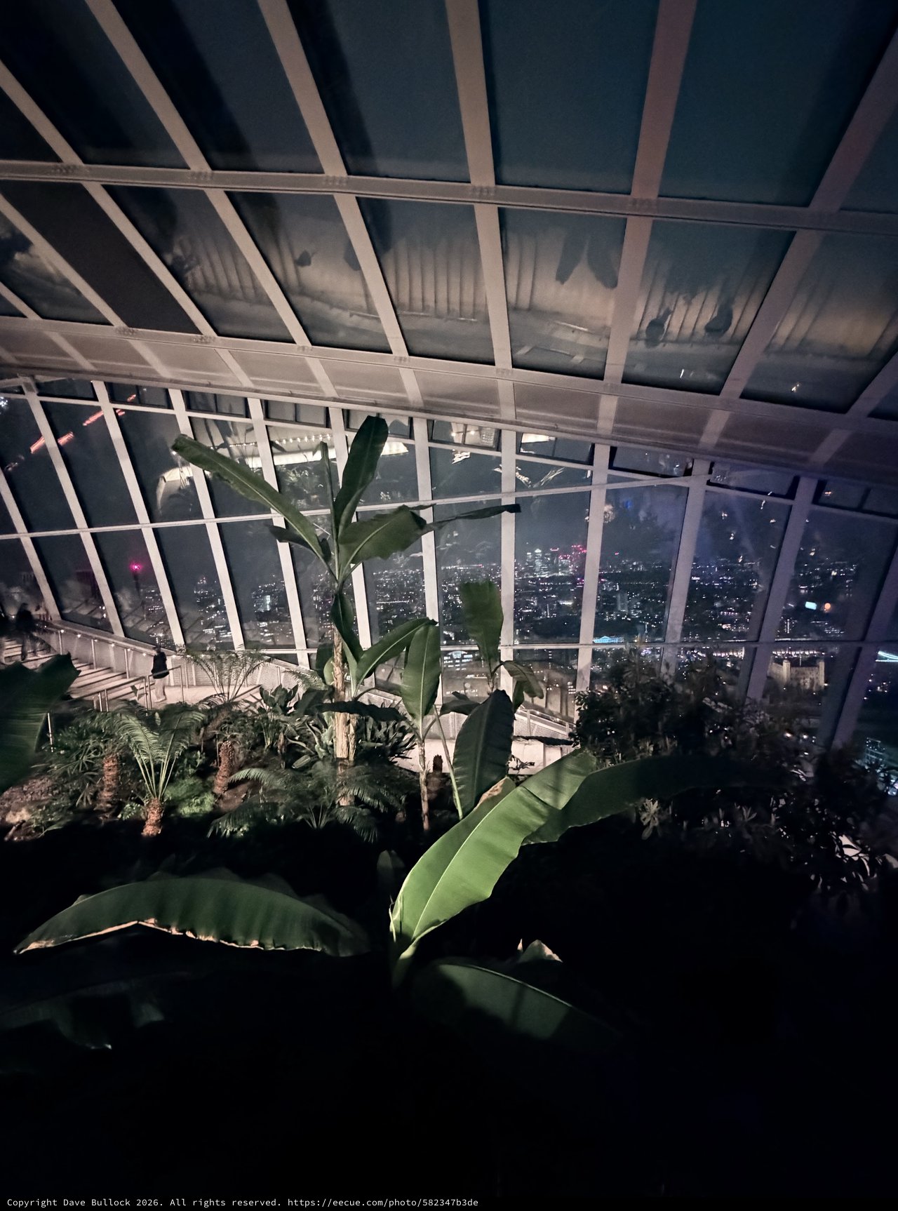Sky Garden Observatory at Night with City Views