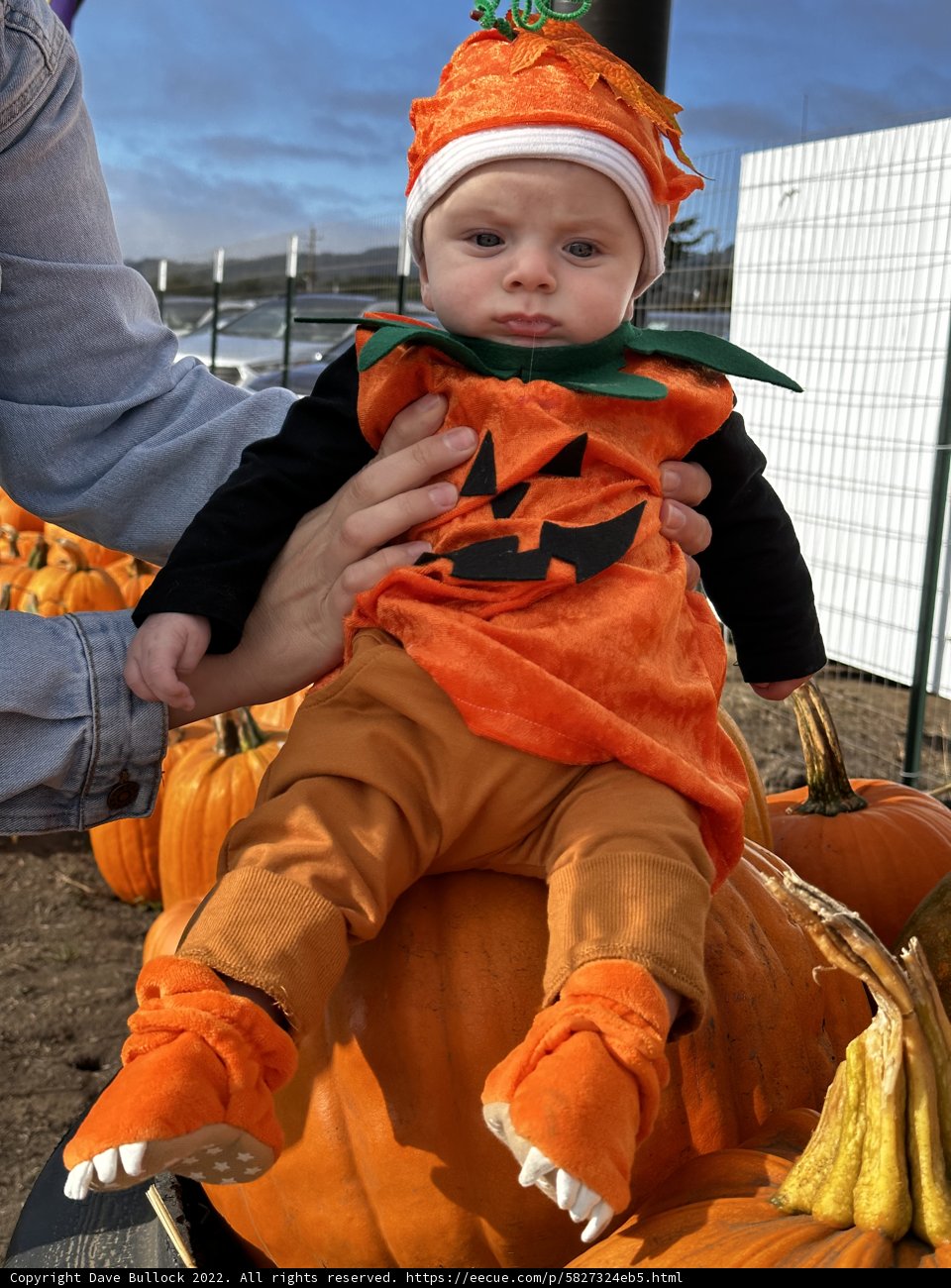 Pumpkin Patch Baby