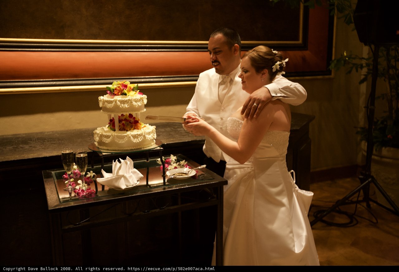 Wedding Cake Cutting Ceremony