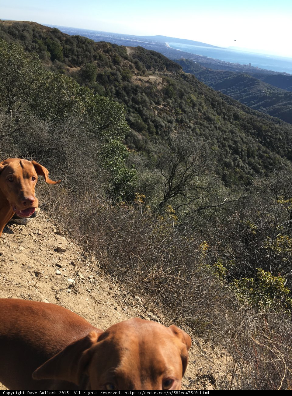 Post Hike View
