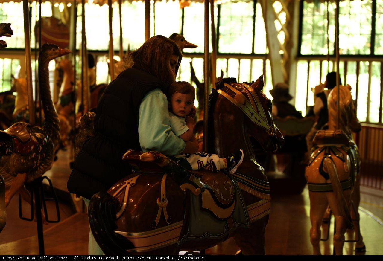 Carnival Joy: A Day at the SF Zoo Carousel