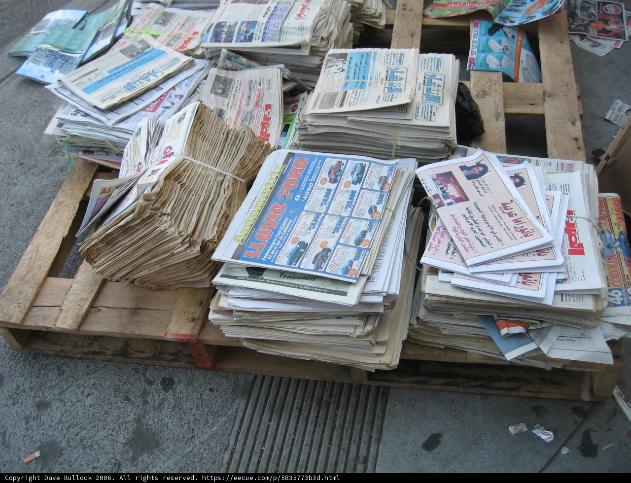 A Stack of Daily News for the Busy Bees