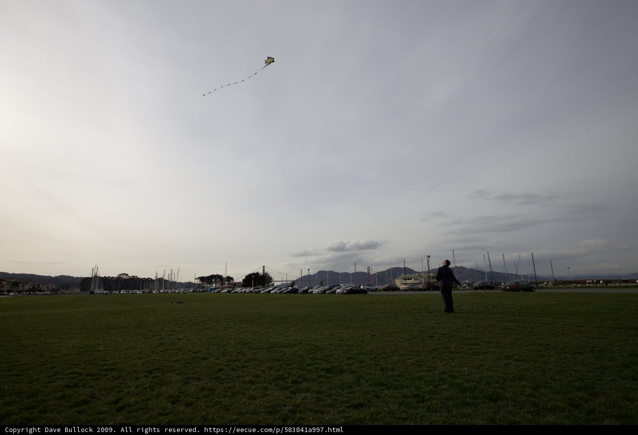 Kite Flying Fun in the Fields