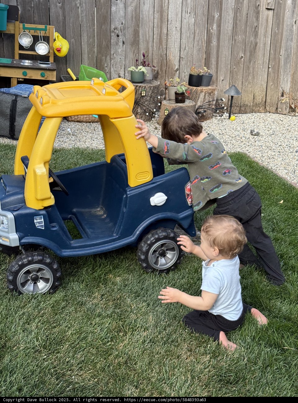 Backyard Adventures