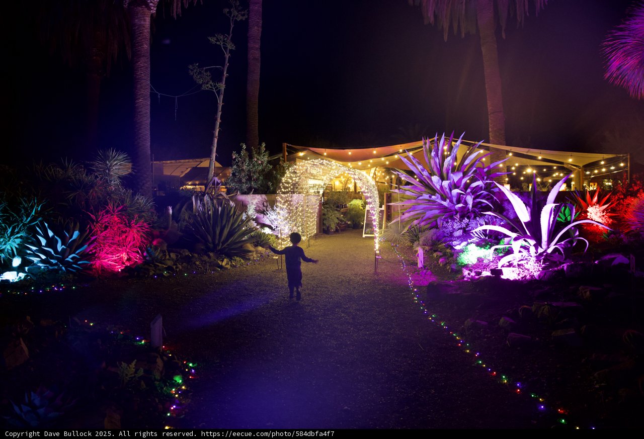Enchanted Night at the Garden