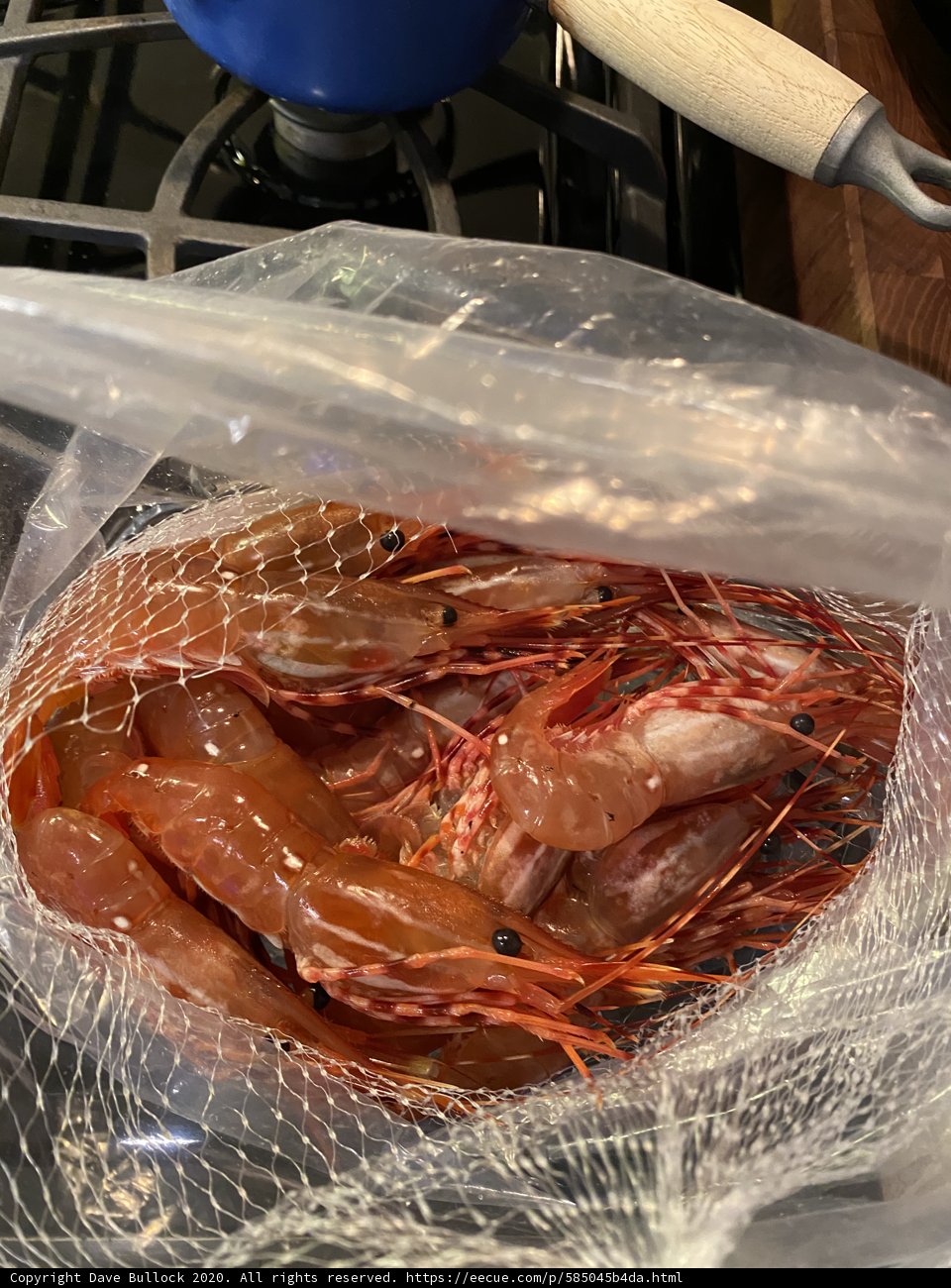 Succulent Shrimp on the Stove