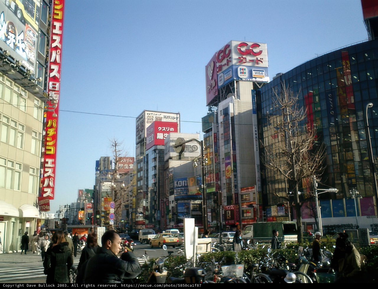 A Bustling Metropolis in Shinjuku