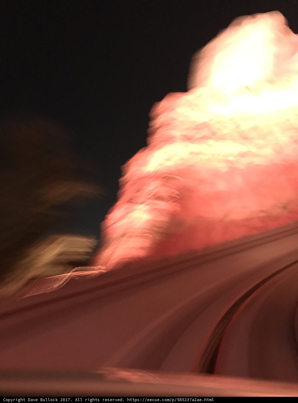 Speeding Through Nature
