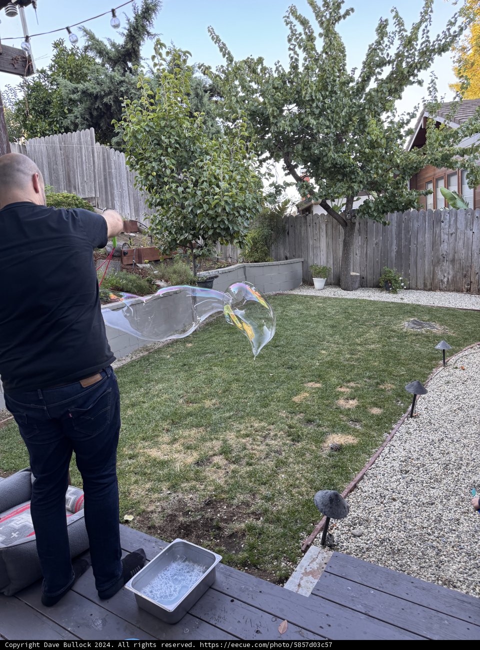 Backyard Bubble Magic