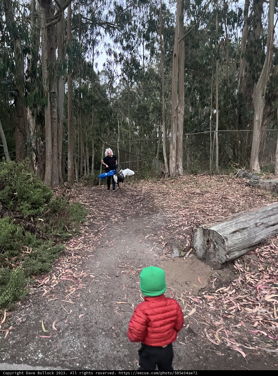 Bonding in Nature: A Walk through the Woods