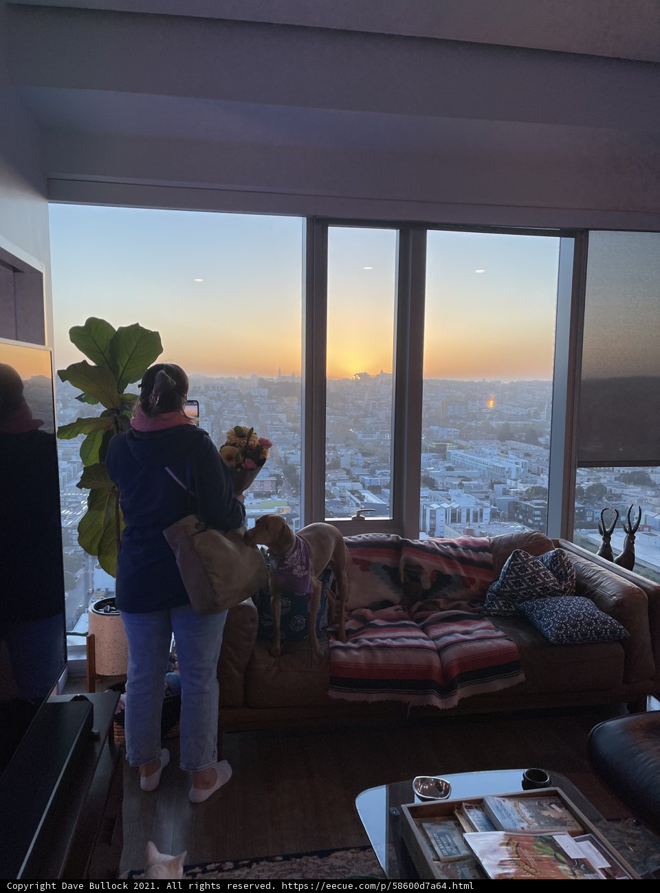 City Views from the Living Room