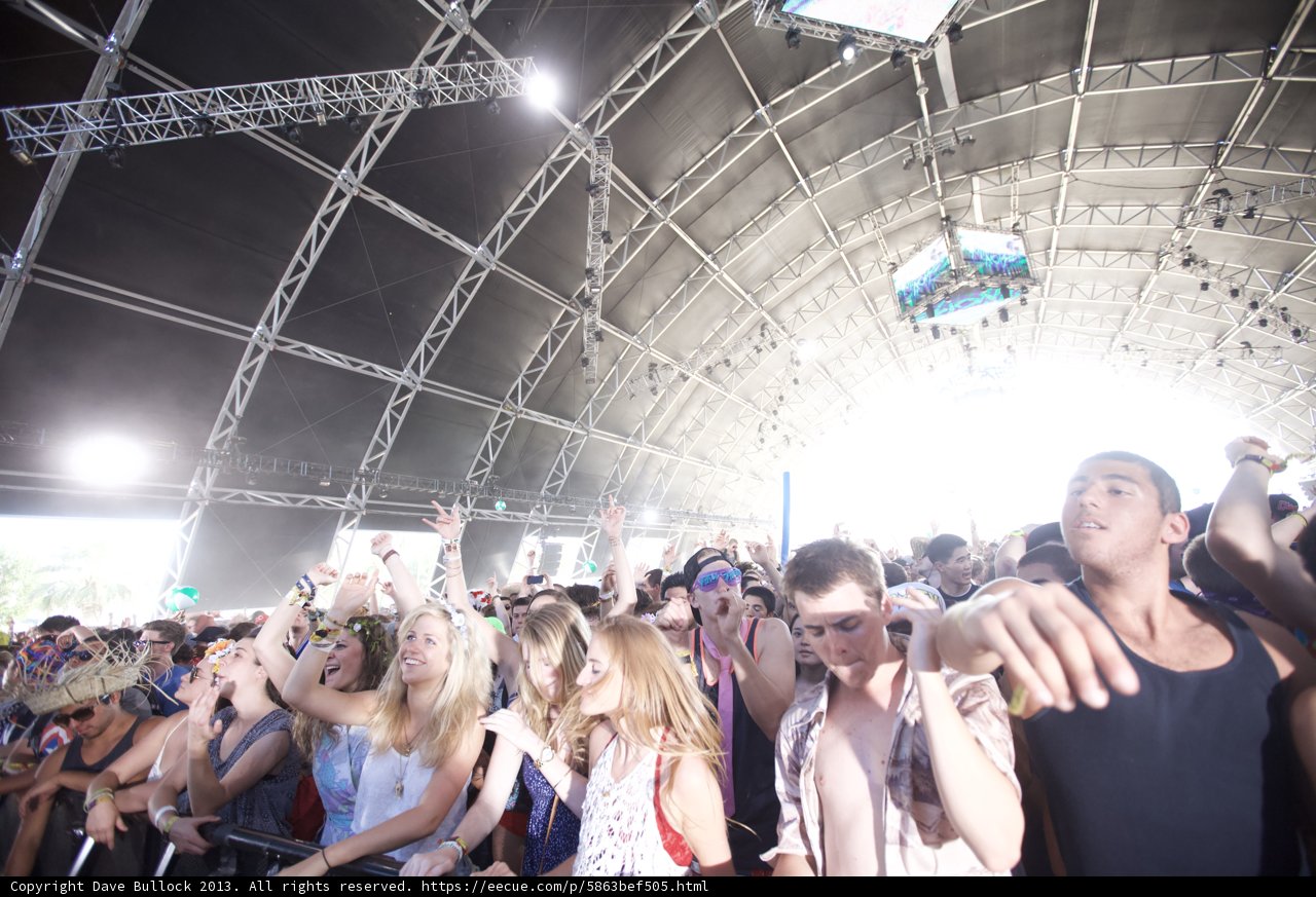 Festival Fun