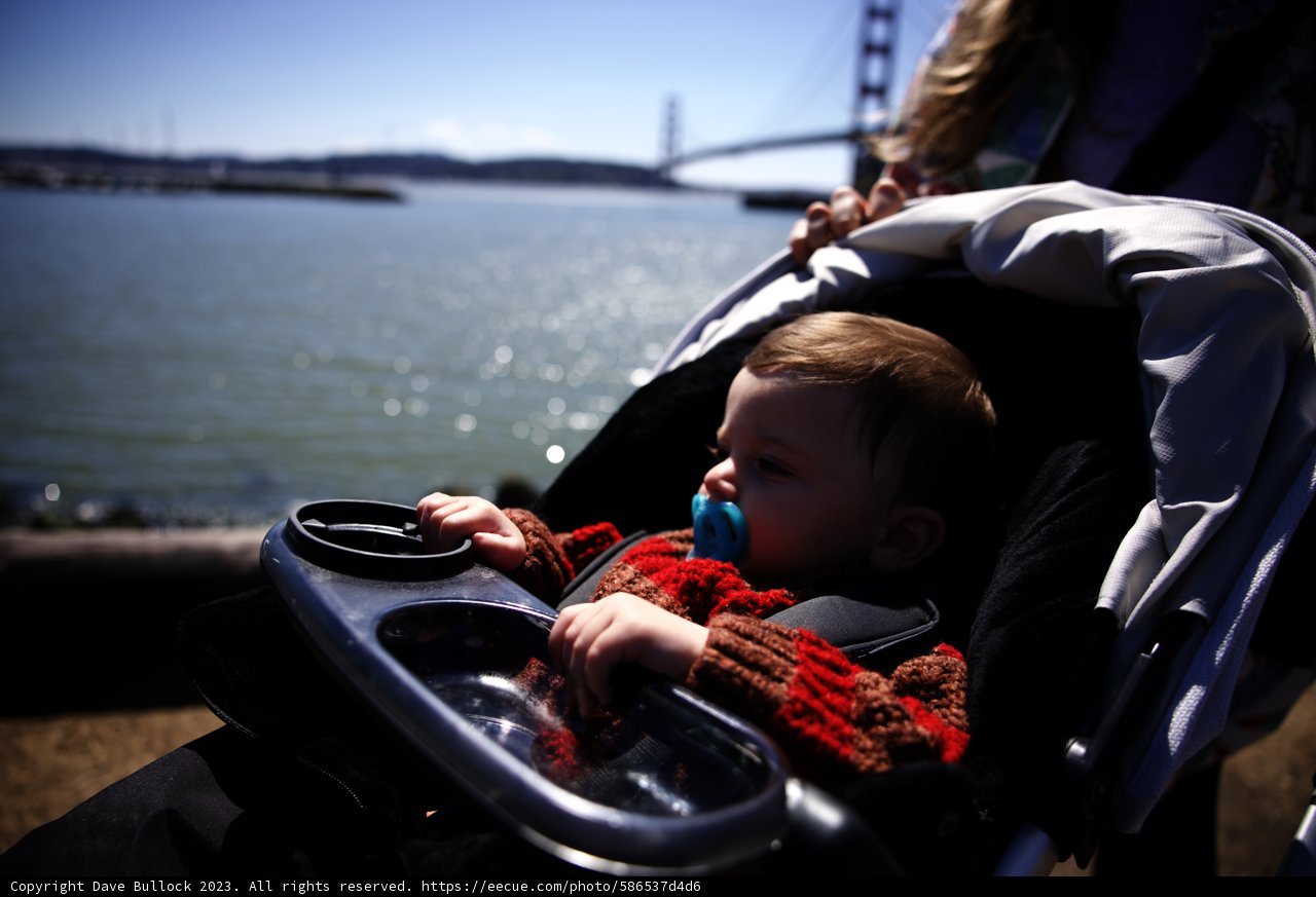 A Peaceful Stroll at Marin Headlands