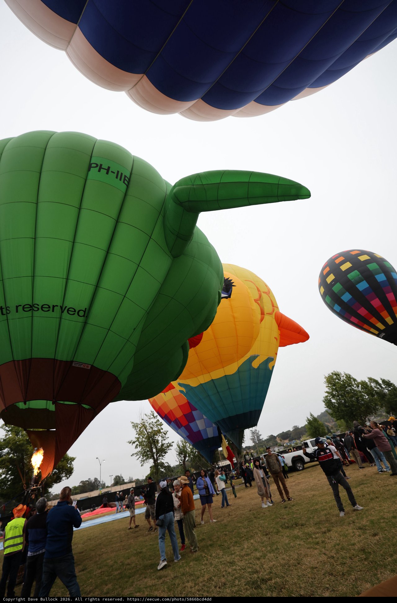 Giant Bird Balloons Take Flight at Sonoma Classic