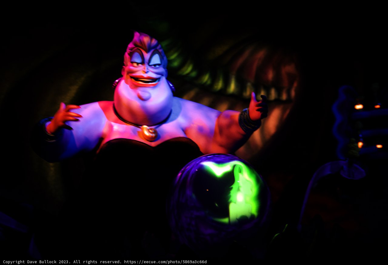 A Malevolent Gaze in the Magical World