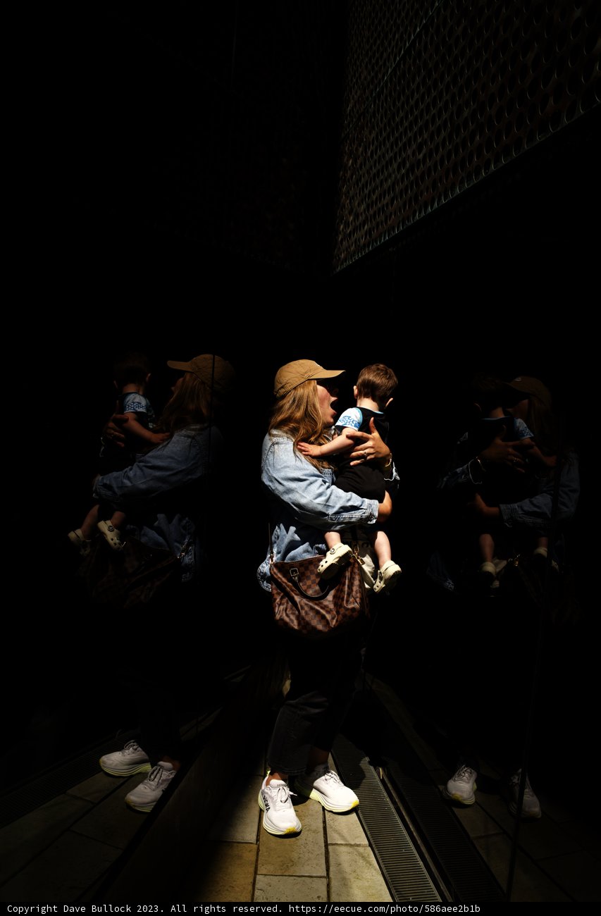 Reflective Encounter at de Young Museum, 2023