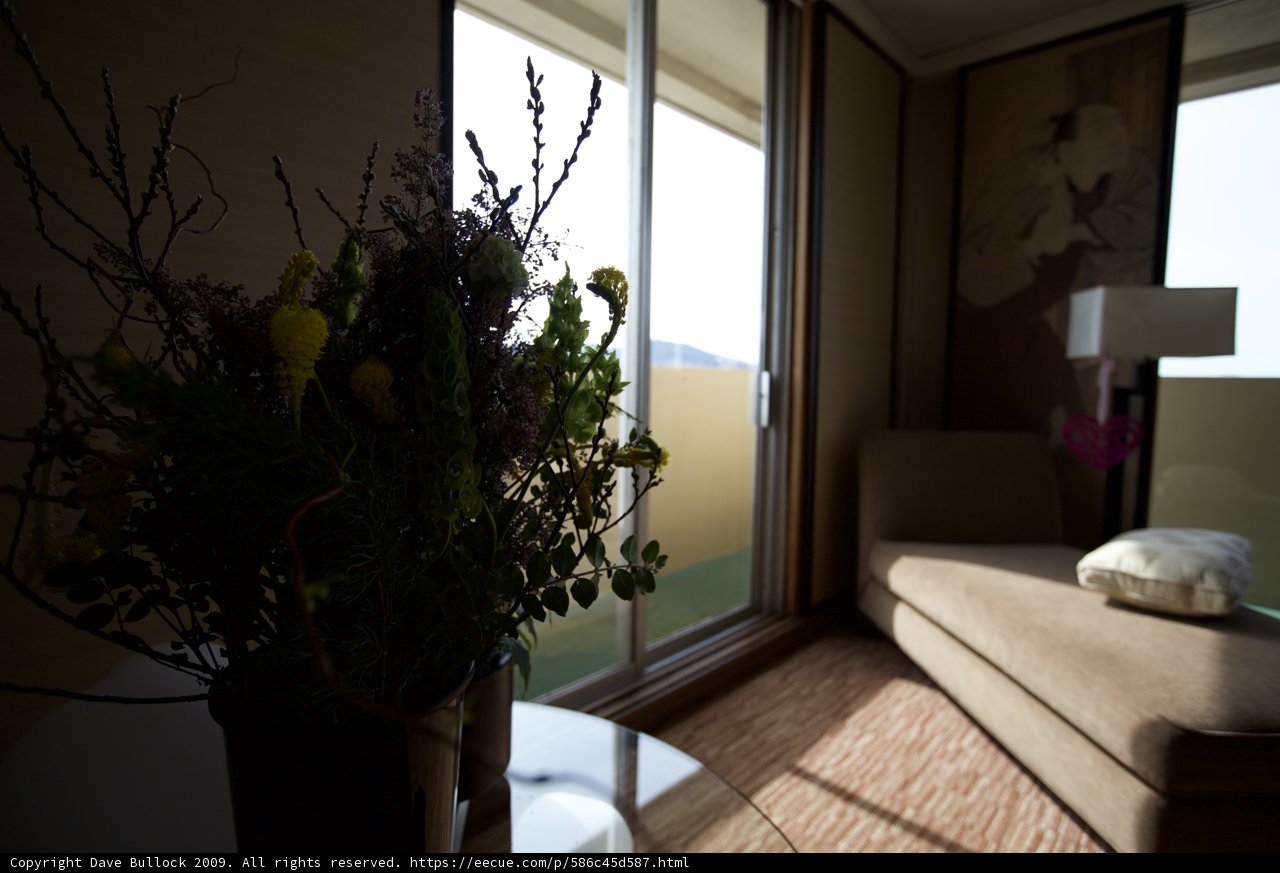 Flower Arrangement in the Living Room