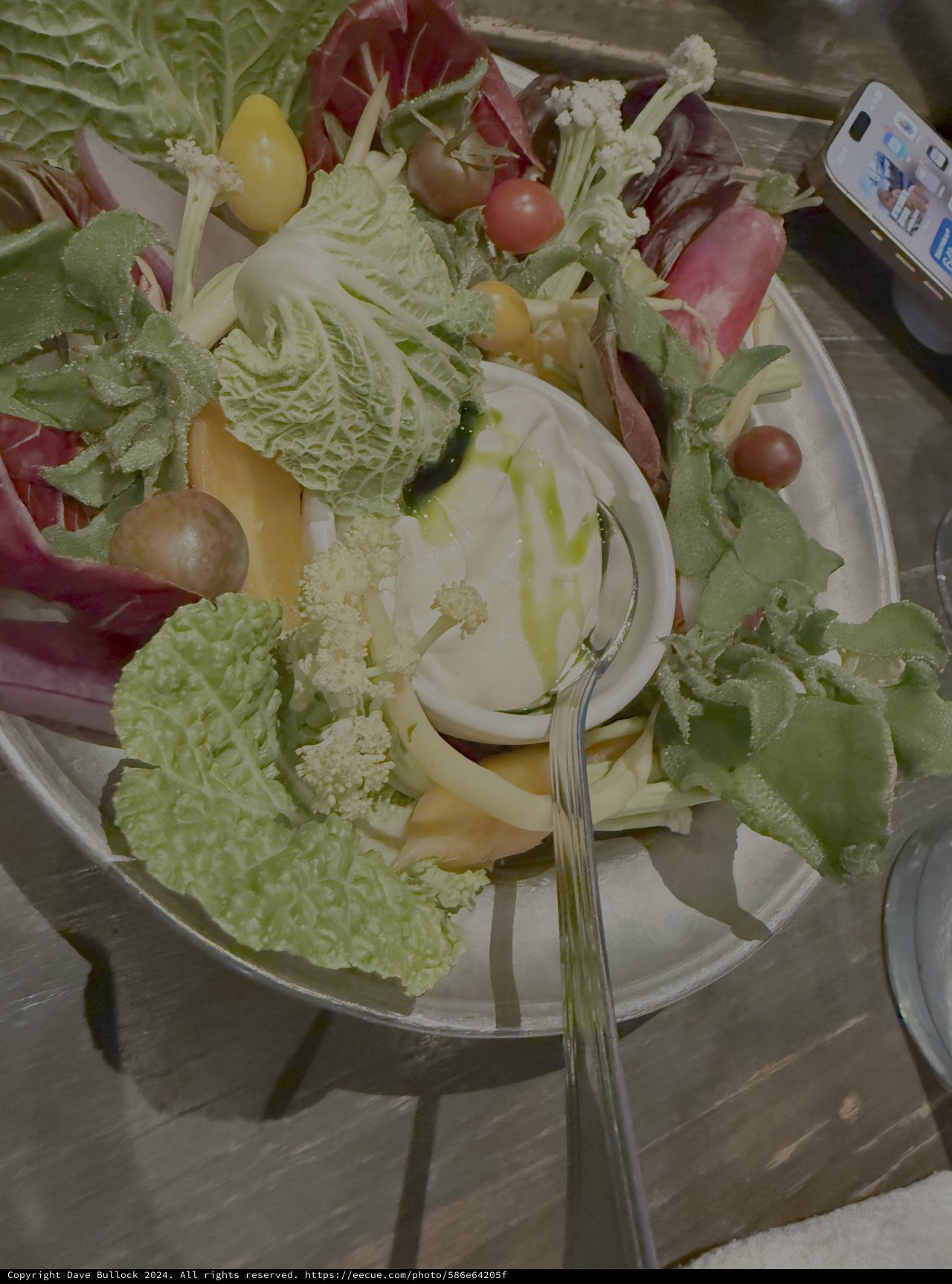 Fresh Garden Salad with Mixed Vegetables