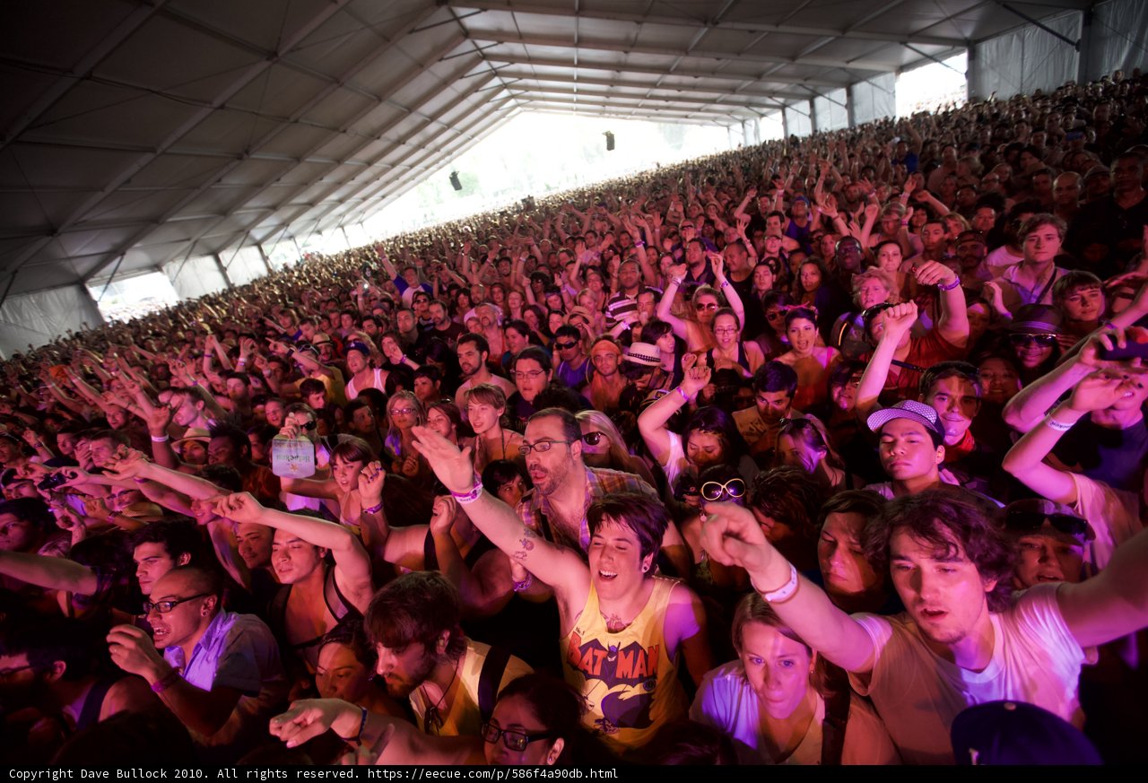 The Electric Crowd at Coachella Music Festival