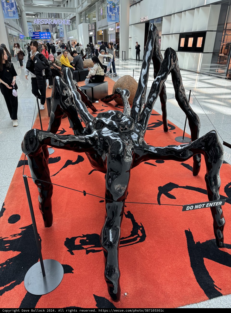 The Spider's Shadow - An Artistic Expression