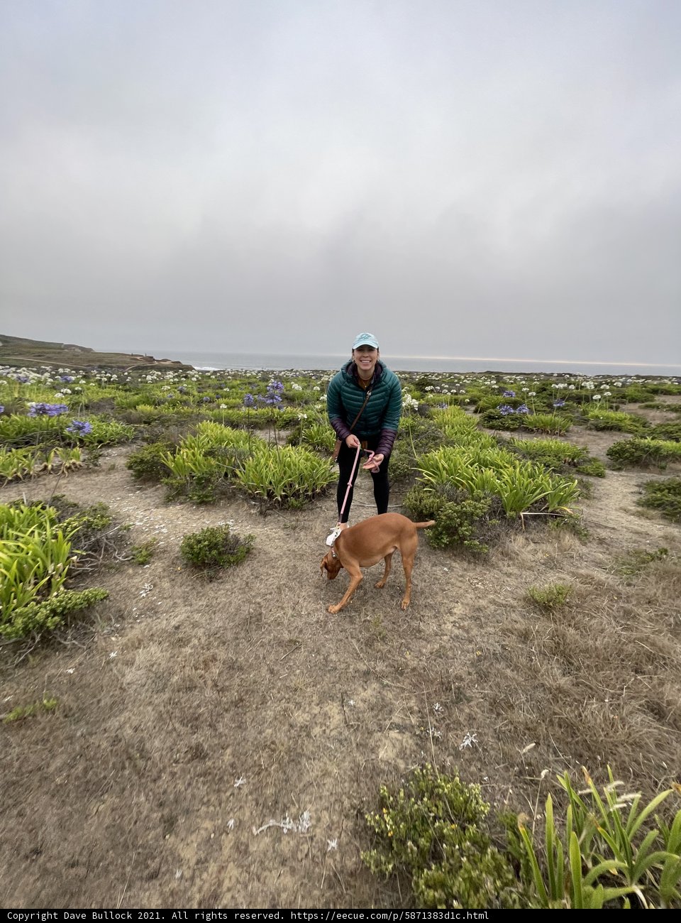 Grassland Adventure