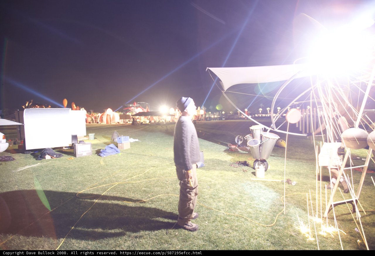 Spotlight on the Grass