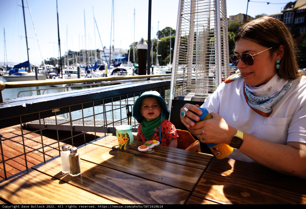 Seaside Serendipity: An Afternoon at Tiburon, 2023