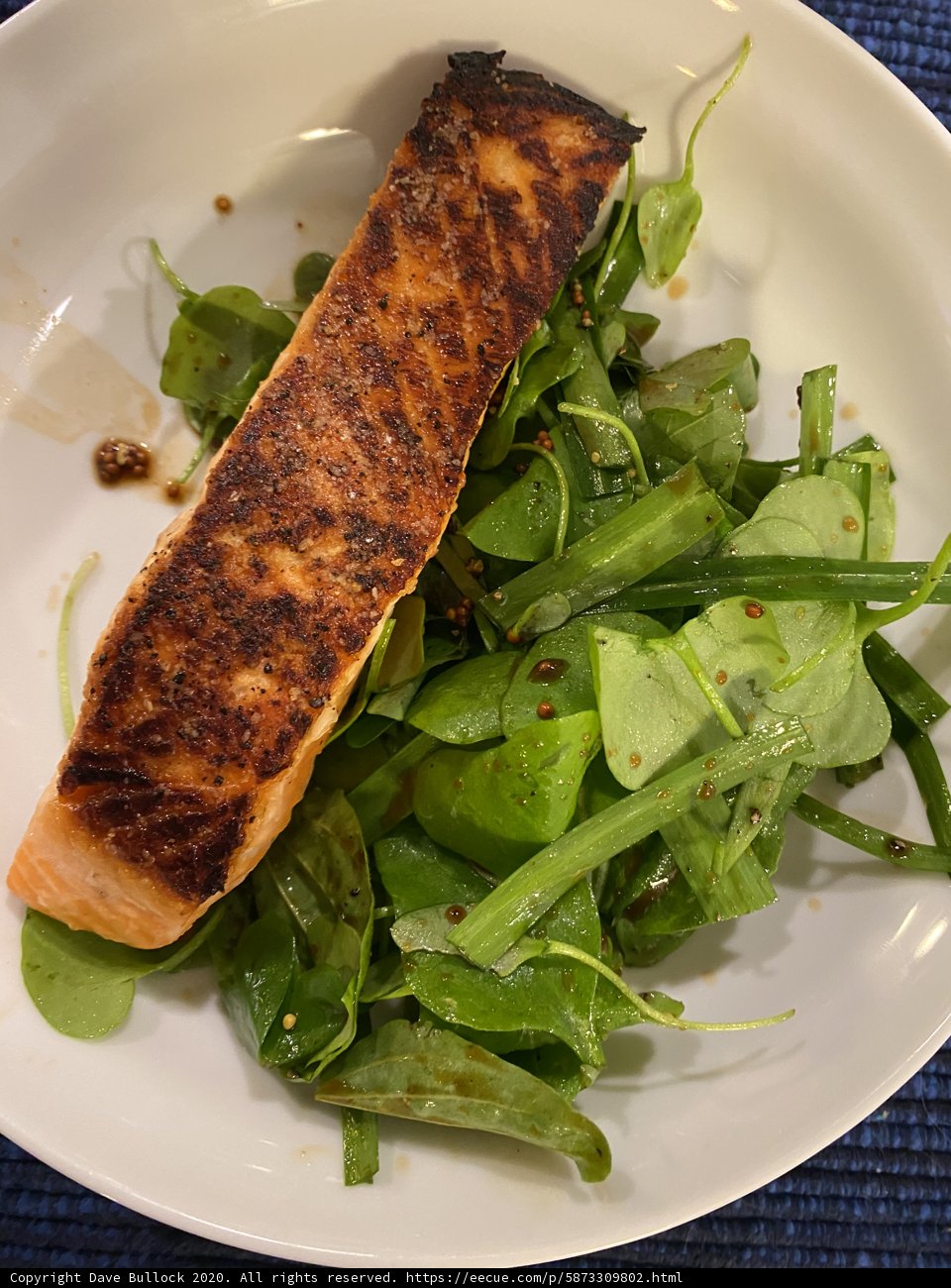A Delicious Plate of Salmon and Arugula Salad