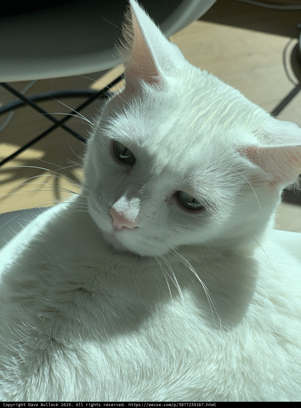 Relaxing Siamese