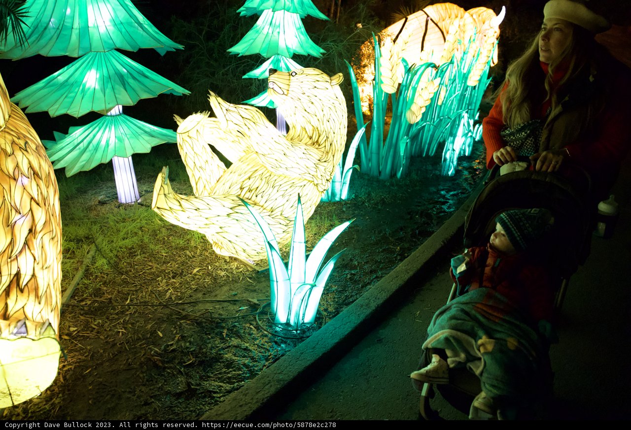 Illuminated Journey