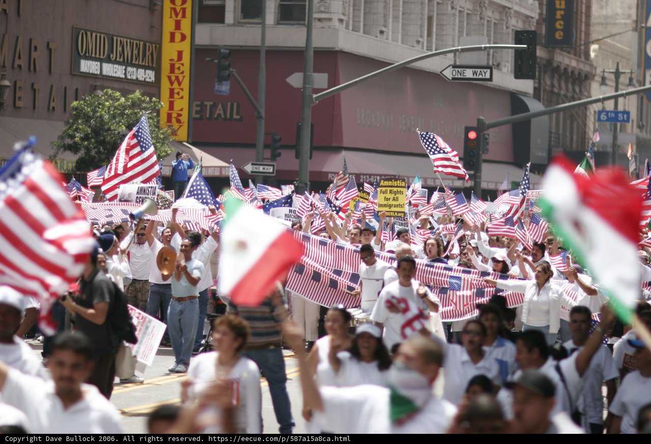 Unity in Diversity