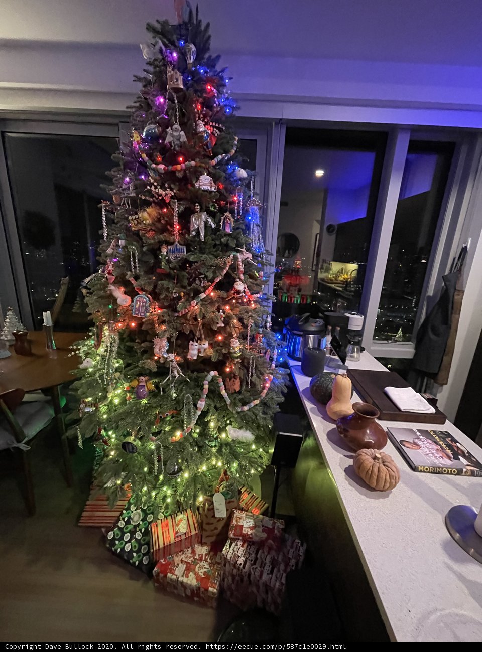 A Cozy Christmas Tree in the San Francisco Cityscape