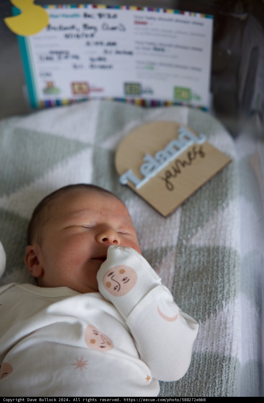 Welcome to the World, Leland