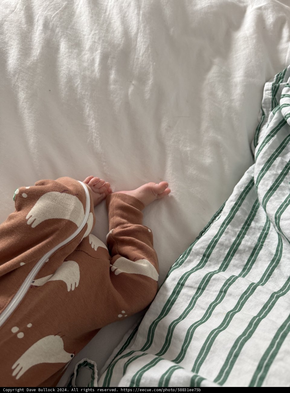 Tiny Toes and Cozy Naps