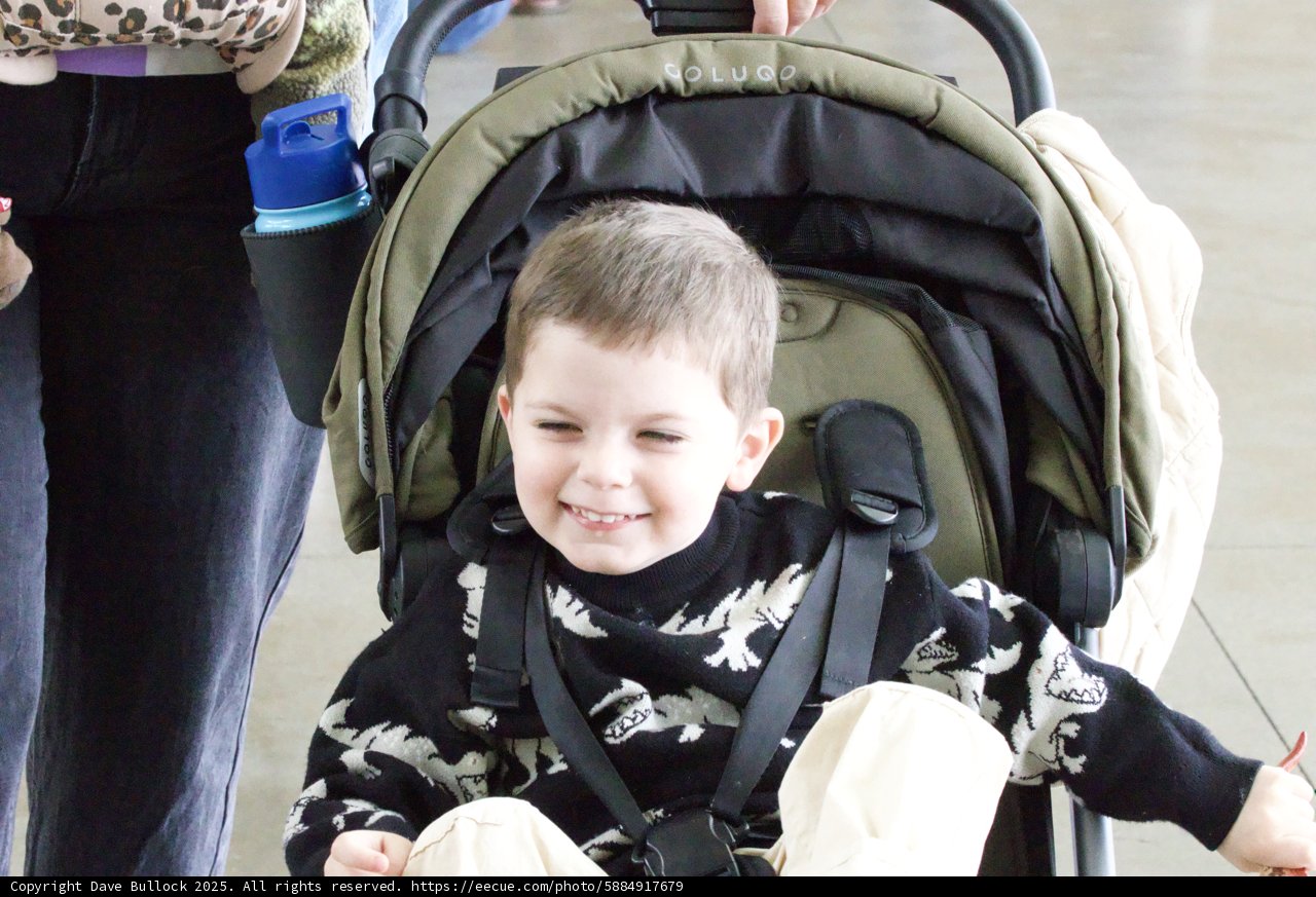 Stroller Adventures