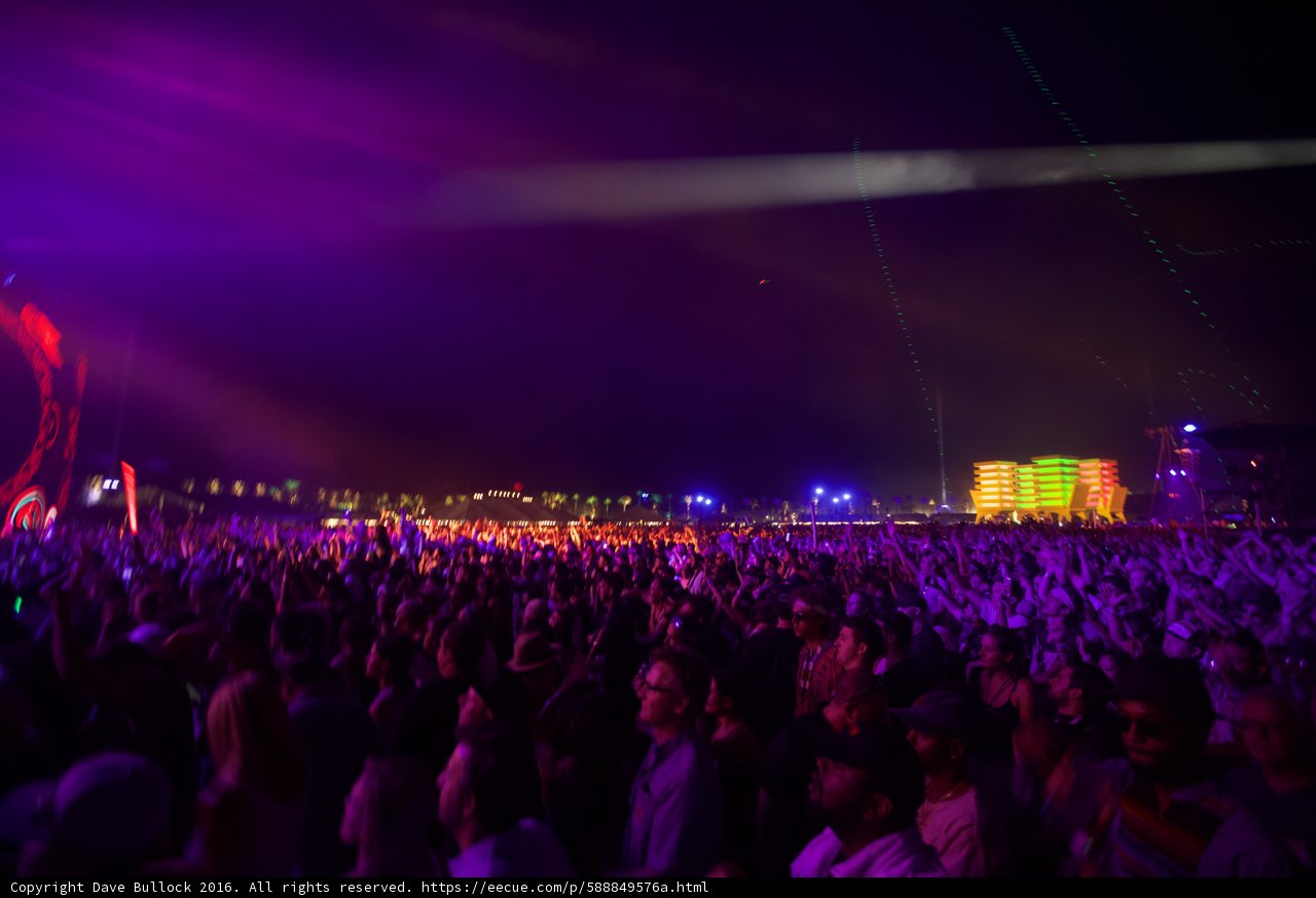 Concert Under the Night Sky