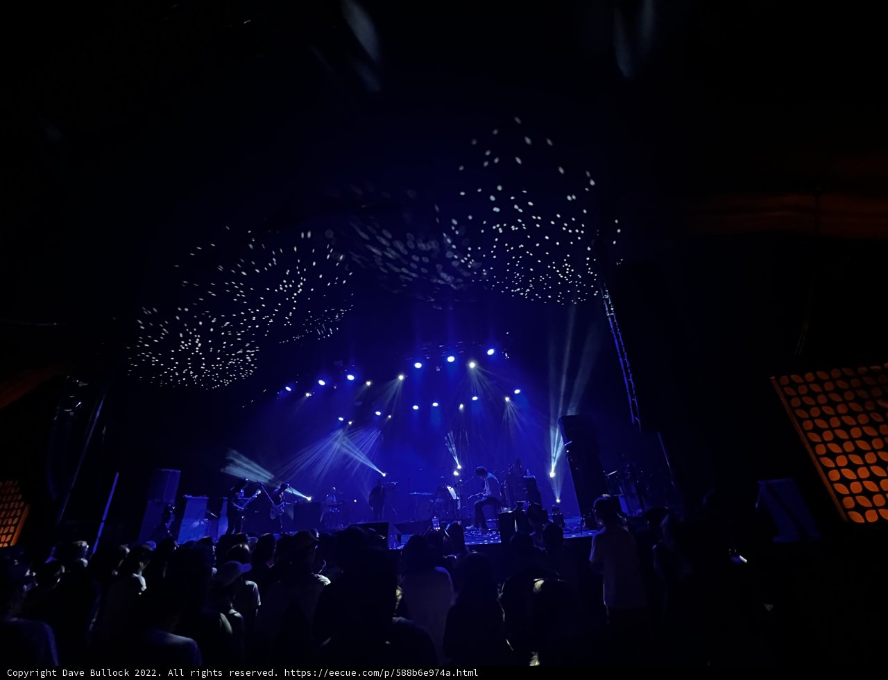 Electrifying Nightlife Concert
