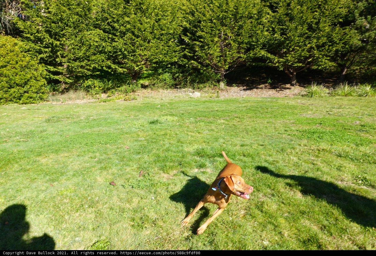 Running Free