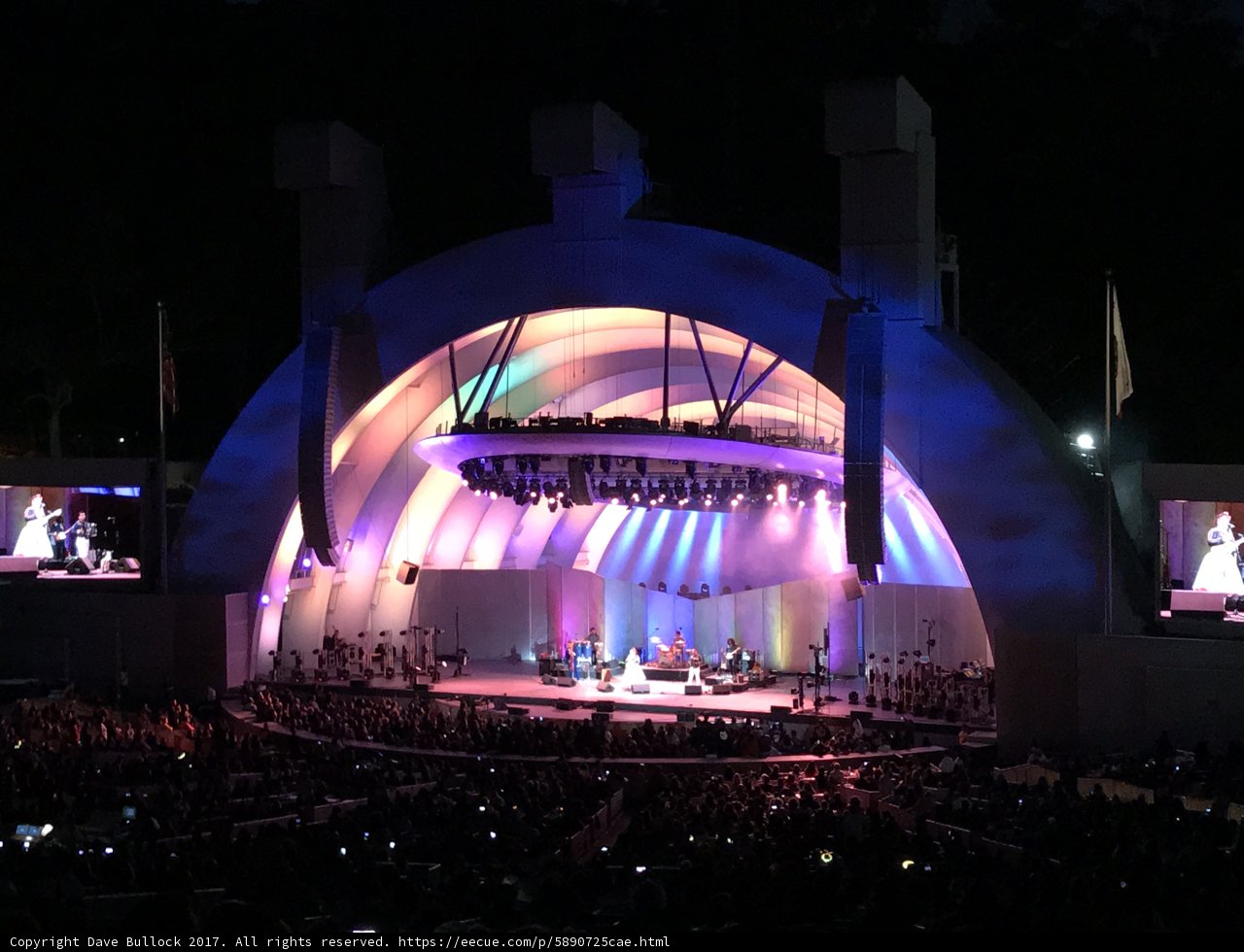 Hollywood Bowl Concert Experience