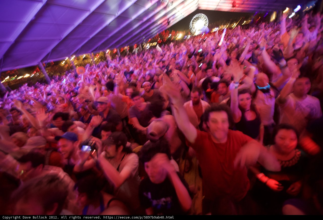 Coachella Crowd Goes Wild